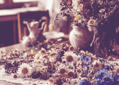 Bachbl&uuml;tentherapie