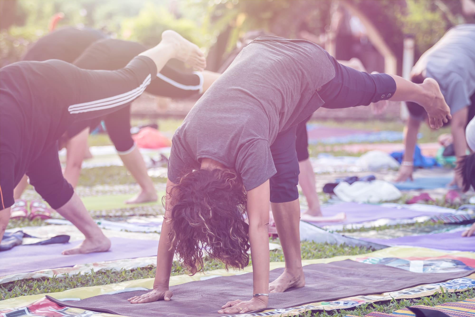 Mehrere Menschen machen auf Yogamatten Yoga-Übungen auf einer Wiese.